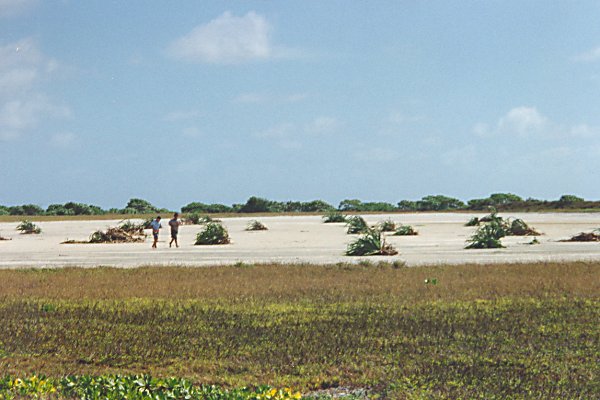 Aitutaki Airstrip barricaded in dispute over Sunday Flights 17 Sep 1995