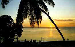 Sunset from dorm at seashell cove with palm silhouette