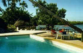 Pool looking towards leaning palm and coastline seashell cove