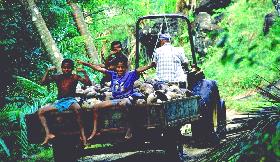 children on back of tractor with coconuts