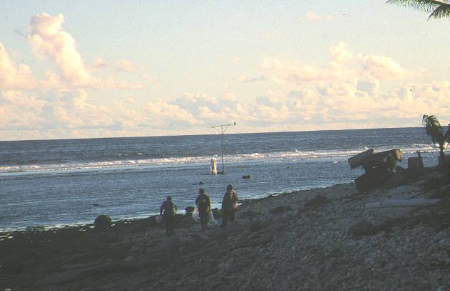 Nauru beach scene with frigate bird