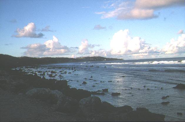Nauru beach scene