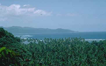 tav16.jpg (13890 bytes)