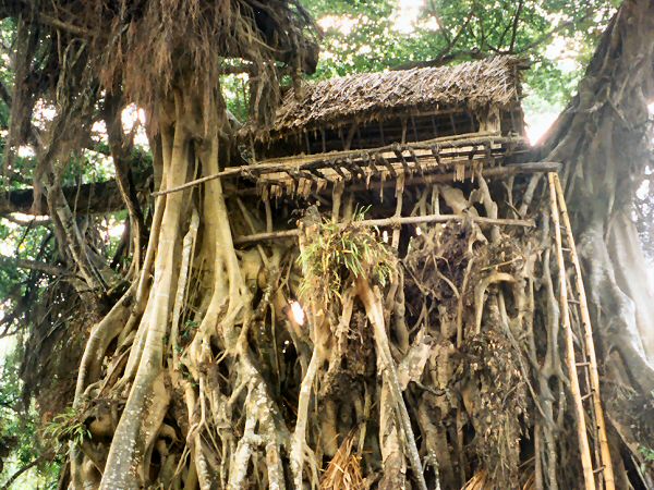 custom village mens house Tanna