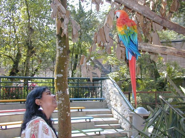 kl_zoo1991.jpg<BR>