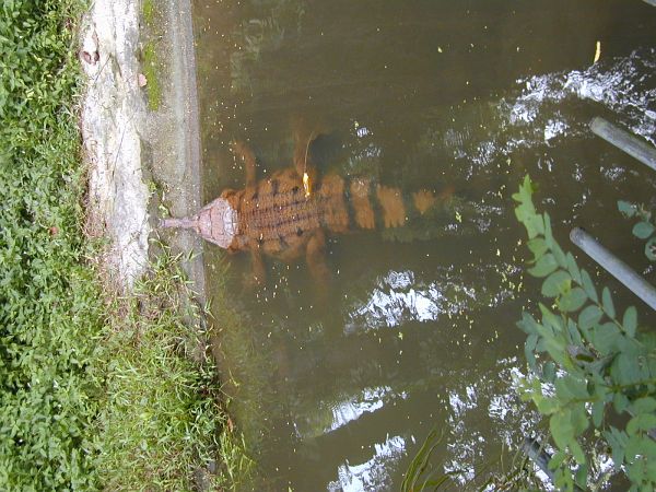 kl_zoo2011.jpg<BR>