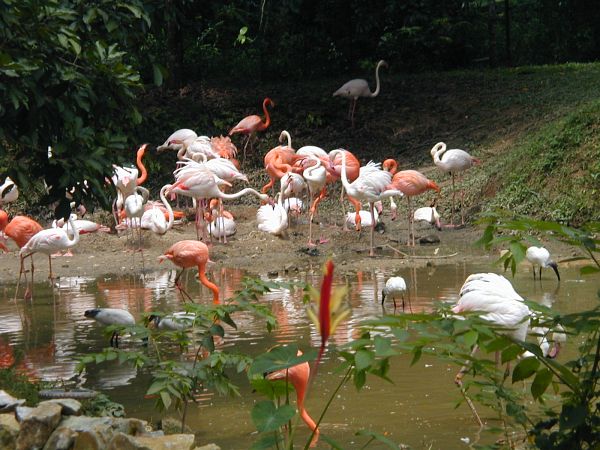 kl_zoo2012.jpg<BR>