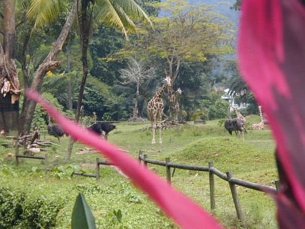 kl_zoo2018.jpg<BR>