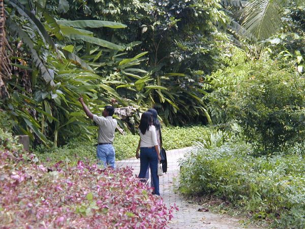 kl_zoo2028.jpg<BR>