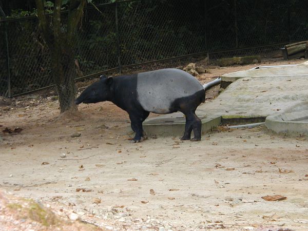 kl_zoo2049.jpg<BR>