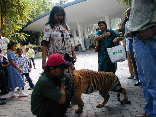 kl_zoo2060.jpg<BR>